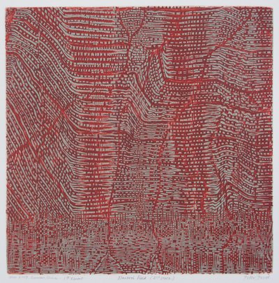 Electric Field 1 by Peter A Ford