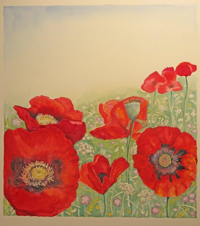 Poppy Field by Peter A Ford