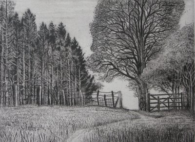 The Forest Path - Spring by Peter A Ford