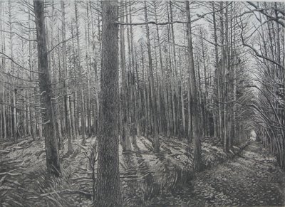 Winter Sun by Peter A Ford