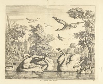Three Swans and Other Birds by a Pond (Various Birds) by Peter Casteels (III)