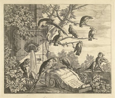 Parrots and Monkeys by a Garden Fountain, Various Birds (series title) by Peter Casteels (III)