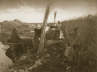 During the Reed Harvest, Life and Landscape on the Norfolk Broads by Peter Emerson und Thomas Goodall