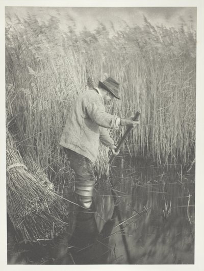 A Reed-Cutter at Work by Peter Henry Emerson