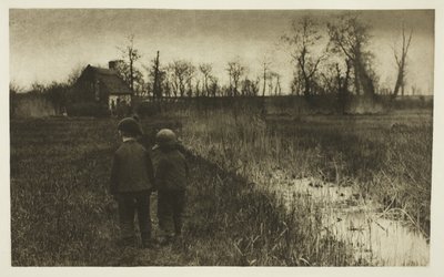 A Toad in the Path: Early Spring in Norfolk by Peter Henry Emerson