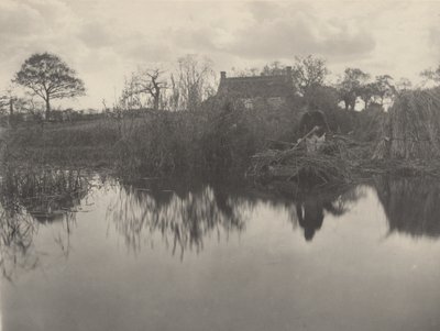 Quanting the Gladdon by Peter Henry Emerson