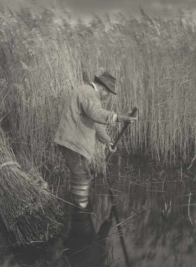 A Reed-Cutter at Work by Peter Henry Emerson and T.F. Goodall
