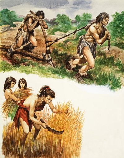 Stone Age farming by Peter Jackson