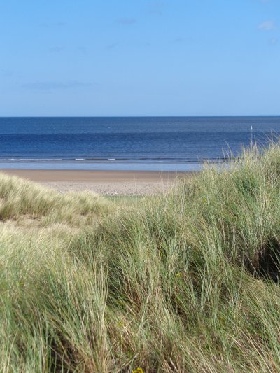 Durham Coast No.1, 2015 by Peter McClure