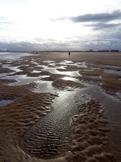 Low Tide Hartlepool, 2016 by Peter McClure