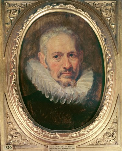 Head of an Old Man by Peter Paul Rubens