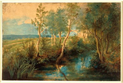 Landscape with Stream Overhung with Trees by Peter Paul Rubens