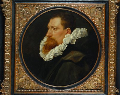 Portrait of a Gentleman, Small Bust Length, Wearing a White Ruff and Grey Cloak by Peter Paul Rubens