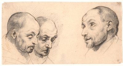 Three Male Heads by Peter Paul Rubens