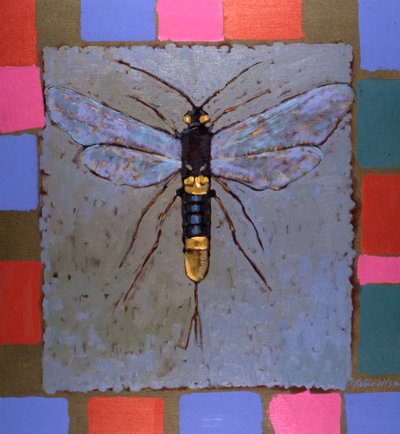 Giant Horntail by Peter Wilson