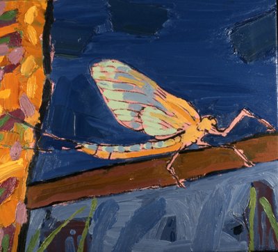 May Fly by Peter Wilson