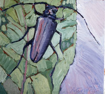 Musk Beetle by Peter Wilson