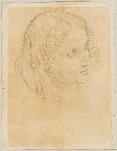 Detail Study for the Scribe in „Joseph Interprets Pharaoh