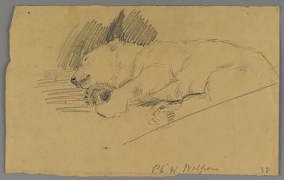 Sleeping Polar Bear by Philip H. Wolfrom