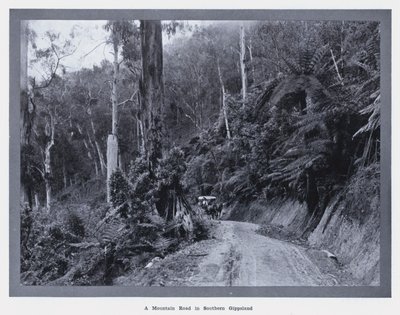A Mountain Road in Southern Gippsland by Photographer Australian