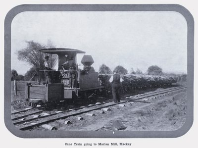 Cane Train going to Marian Mill, Mackay by Photographer Australian