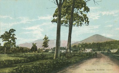 Healesville, Victoria, Australia by Photographer Australian