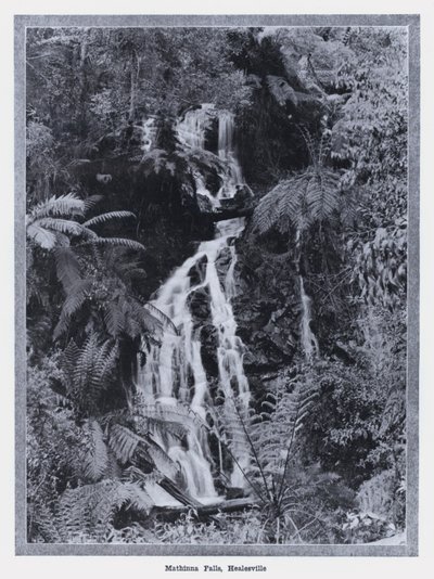 Mathinna Falls, Healesville by Photographer Australian