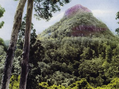 Queensland, Australia: Mt Cordeaux by Photographer Australian