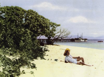 The Tropical Beach, Queensland, Australia by Photographer Australian