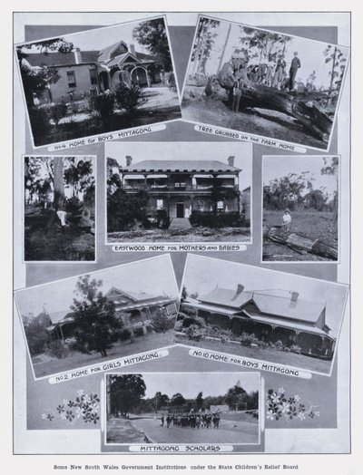 Some New South Wales Government Institutions under the State Children
