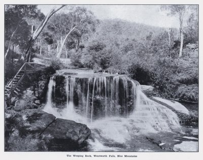 The Weeping Rock, Wentworth Falls, Blue Mountains by Photographer Australian