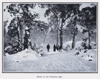 Winter in the Victorian Alps by Photographer Australian