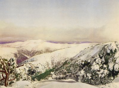 Winter in the Victorian Alps by Photographer Australian