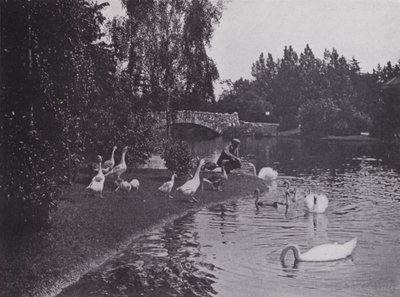 Lake, Beacon Hill Park, Victoria, British Columbia by Photographer Canadian