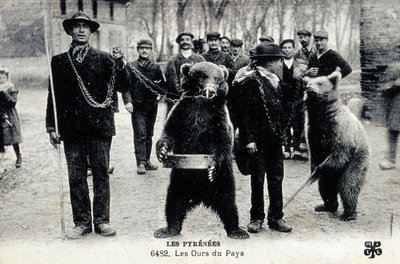 Bear Shows in the Pyrenees, c.1900 by Photographer French