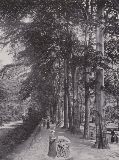 Im Tiergarten, Ein schattiger Weg by Photographer German