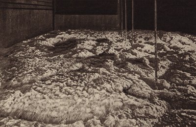 Fermenting Tun, St James