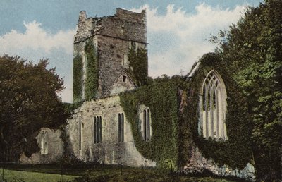 Southern Ireland: Muckross Abbey, Killarney by Photographer Irish