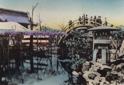 Japan, c.1912: Kameido Temple Ground Noted for Wisteria Blossom in May and Drum Bridge by Photographer Japanese