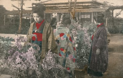 Japanese women with wisteria plants by Photographer Japanese