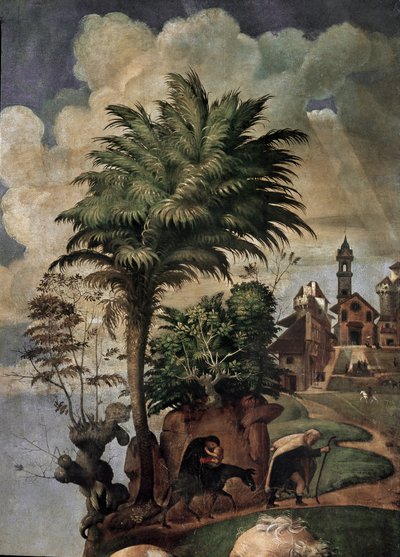 Virgin and Child on the throne surrounded by saints (detail) by Piero di Cosimo