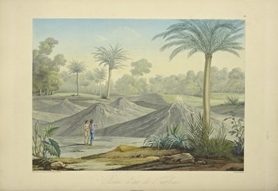 Air Volcanoes of Turbaco, Engraved by Bouquet, Illustration from 