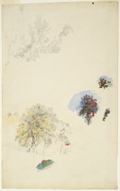 Studies of Trees and Foliage by Pierre Auguste Renoir