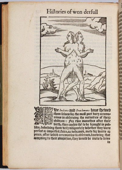 A Collection of Extraordinary Stories, 1560 by Pierre Boaistuau