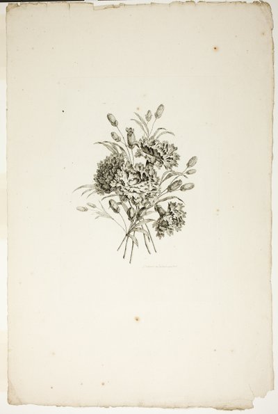 Bouquet with Carnations, from Collection of Different Bouquets of Flowers, Invented and Drawn by Jean Pillement and Engraved by P. C. Canot by Pierre Charles Canot