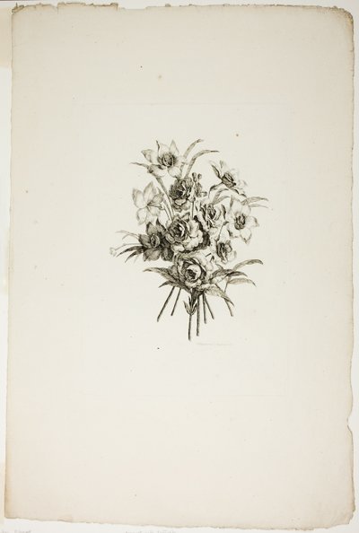 Bouquet with Daffodils, from Collection of Different Bouquets of Flowers, Invented and Drawn by Jean Pillement and Engraved by P. C. Canot by Pierre Charles Canot