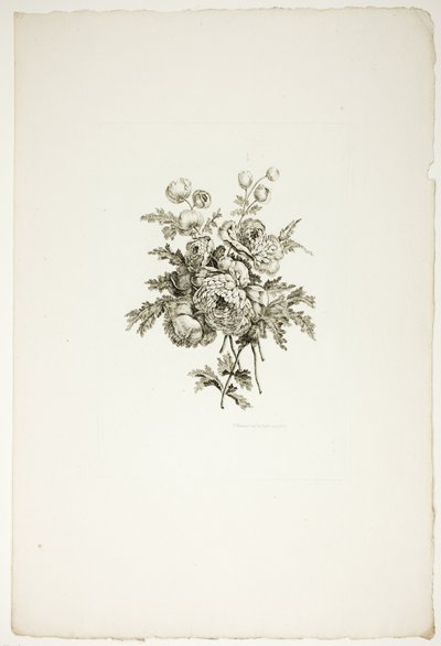 Bouquet with Peonies, from Collection of Different Bouquets of Flowers, Invented and Drawn by Jean Pillement and Engraved by P. C. Canot by Pierre Charles Canot