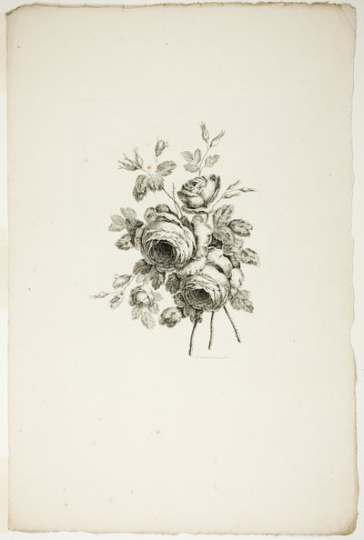 Bouquet with Roses, from Collection of Different Bouquets of Flowers, Invented and Drawn by Jean Pillement and Engraved by P. C. Canot by Pierre Charles Canot