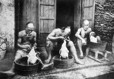 Chinese duck feathers, Saigon and its surroundings, phot. Dieulefils, c. 1900 by Pierre Dieulefils