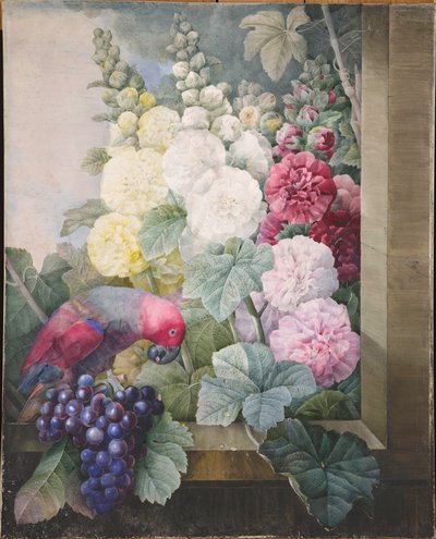 Hollyhocks, Grapes and a Parrot by Pierre Joseph Redouté